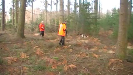 Arrêt fjord,Clip et petite chienne de François 01--2014 patron Ialta