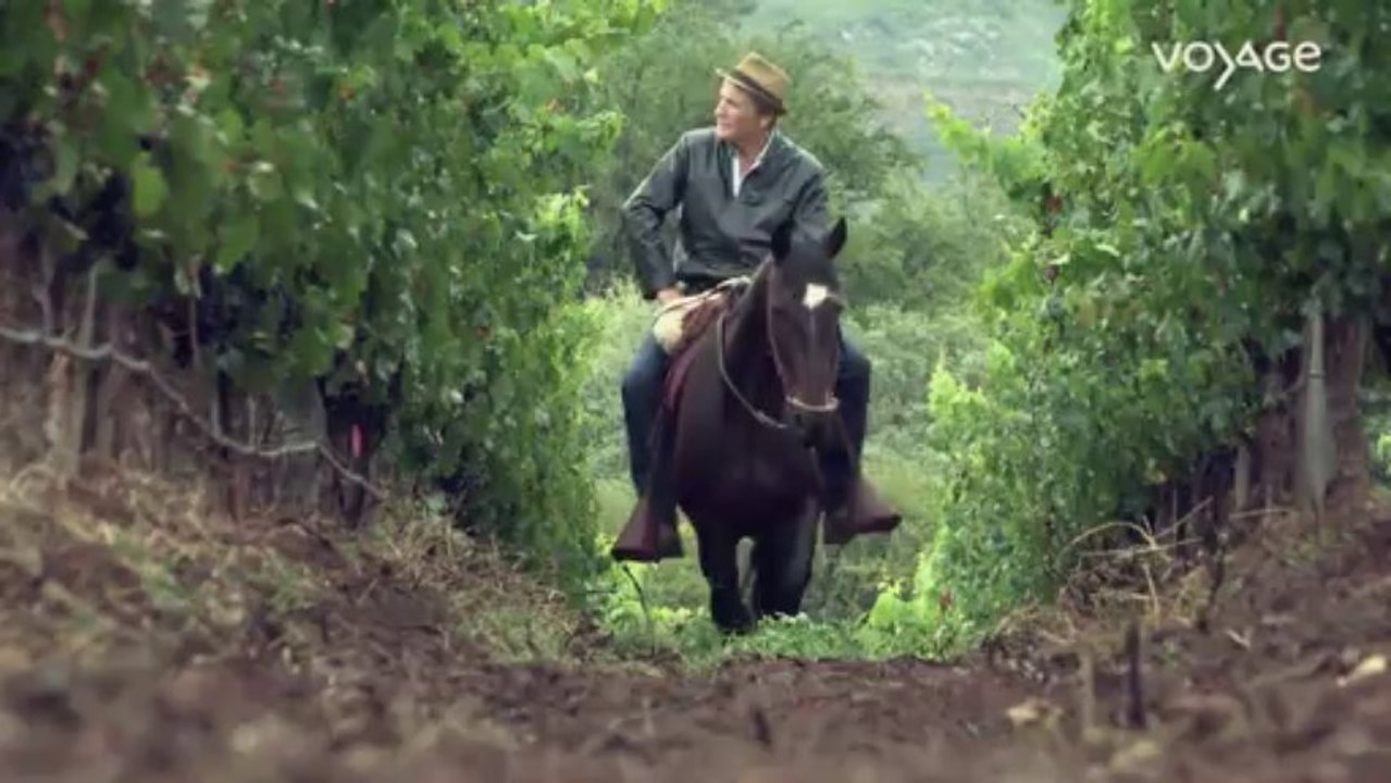 La route des vins : Argentine, Les vignobles à cheval