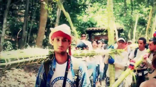 Palmeros de Chacao 2013