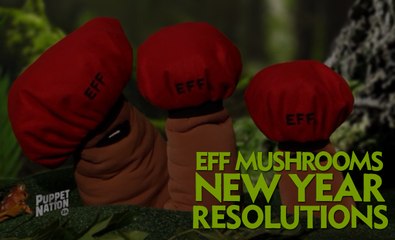 EFF Mushrooms' New Year Resolutions