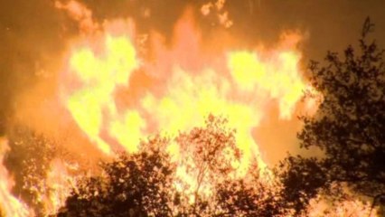 LA area wildfire prompts state of emergency