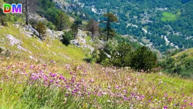 Fatjon Osmani - Destan Meshi - Dit e Mira - Video Official Bekim Meshi