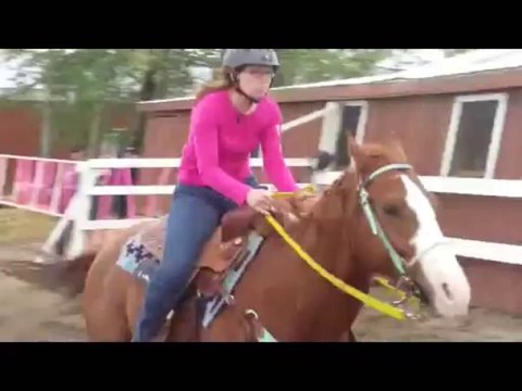 Saison compétion 2013