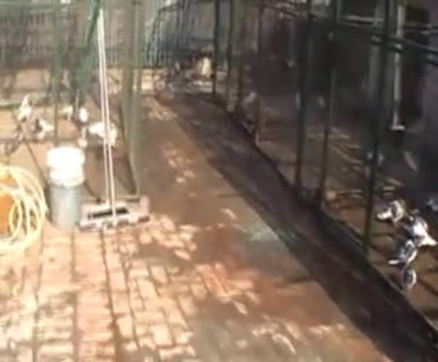 MOV001 (2)
