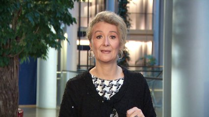 Mon bilan de plénière de janvier 2014