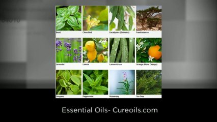 Quality Therapeutic Grade Essential Oils – Cureoils.com- Utah 84011- Call (801) 999-0812