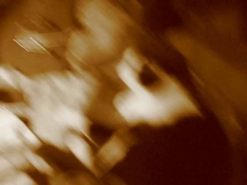 MY KITTY CAT & SEVERAL GUITARS ALSO TOO