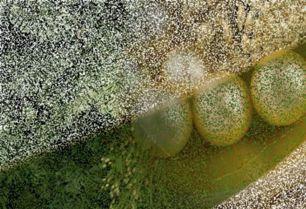 sửa máy tính tại nhà quận tân bình - gọi 0937851808 A.tú