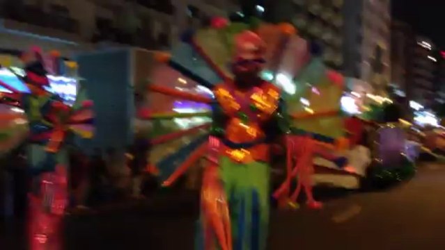 DSF parade 17-1-2014