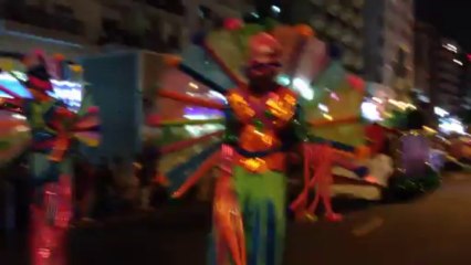 DSF parade 17-1-2014