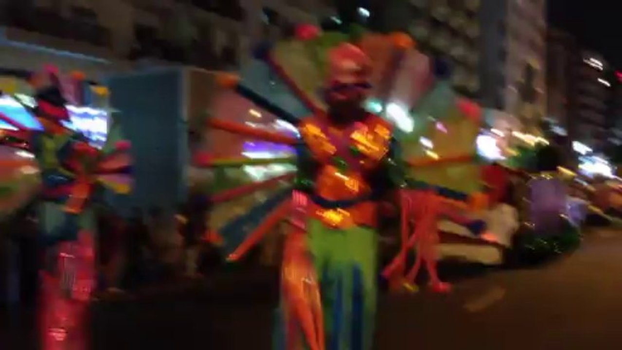 DSF parade 17-1-2014