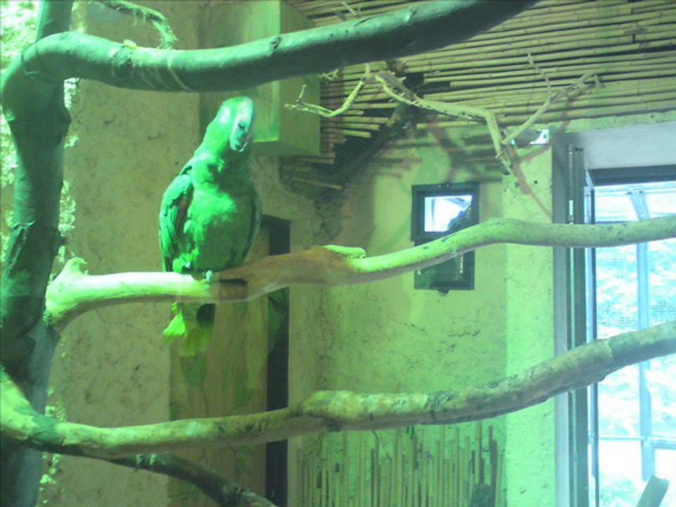 ZOO gdansk