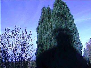 il fait beau mais pas chaud