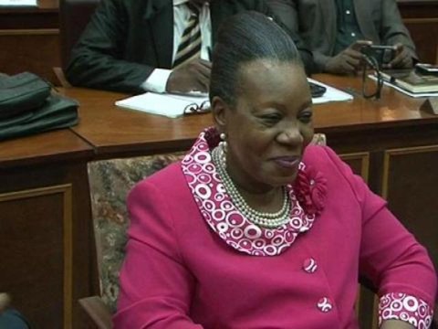 Centrafrique: la maire de Bangui élue présidente de transition - 21/01