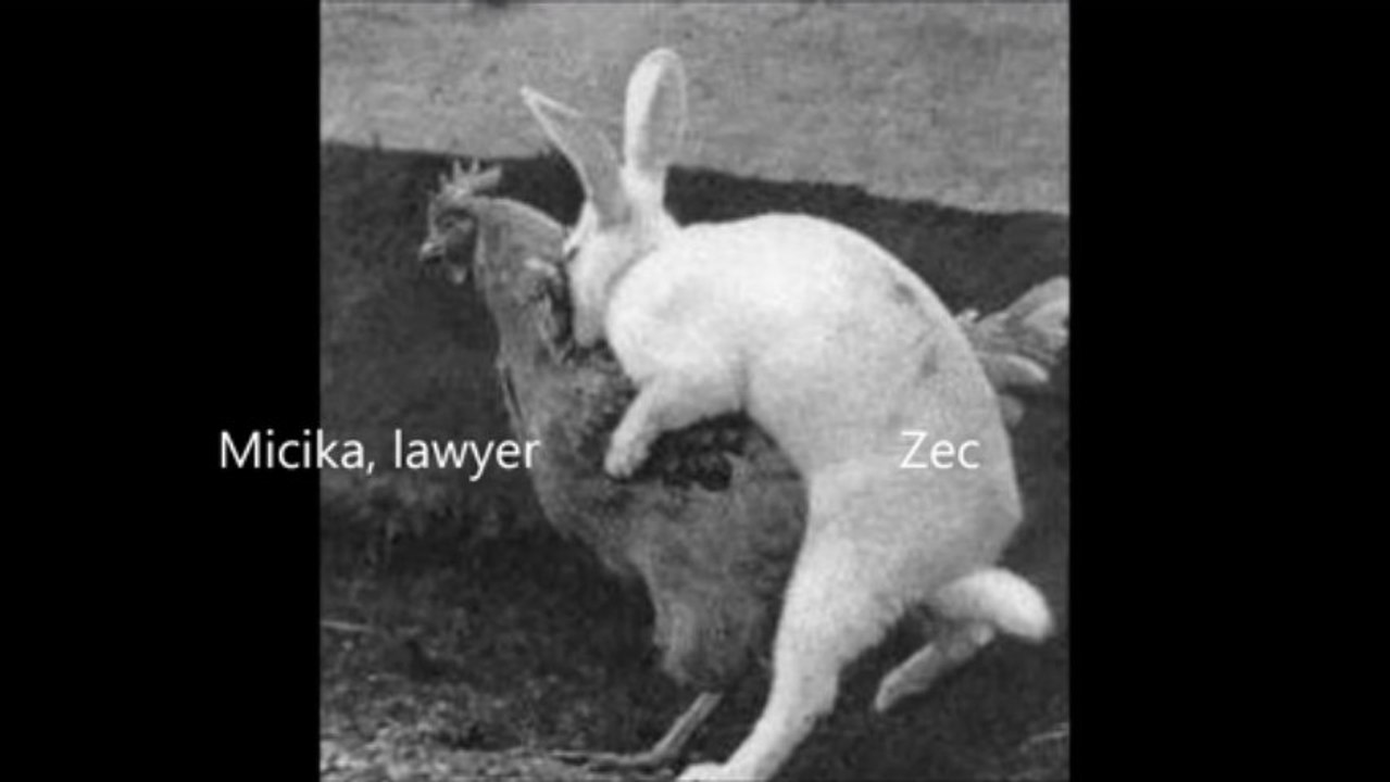 Moja Micika-Mica