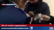 Andria: 5 cuccioli abbandonati sotto il palazzo comunale, l'apello degli animalisti
