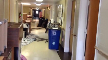 ▶ How I imagine I'll see a zombie for the first time. - YouTube [720p]