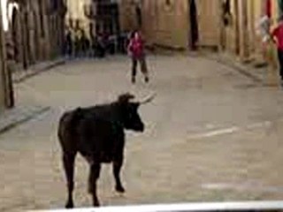 ENCIERRO VACAS UNCASTILLO