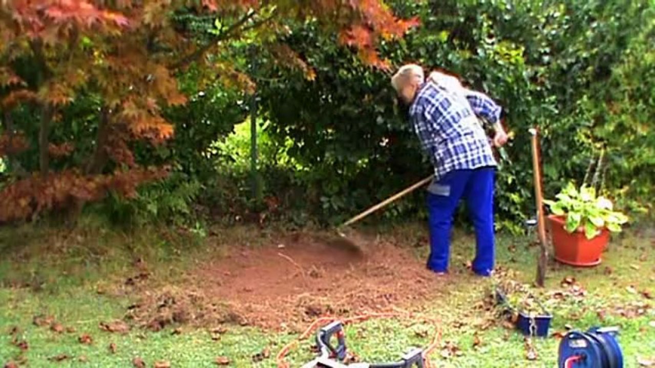 Ein farnbeet anlegen