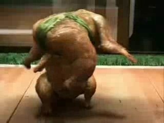 pepsi  poulets  combats genial