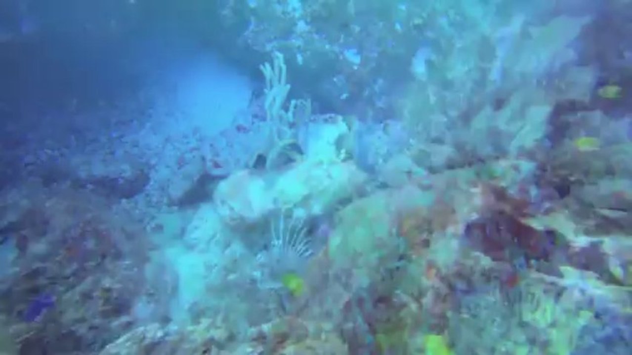 Koh Tachai - Similan