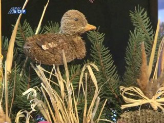 Ljubav prema pticama Mateje Bogranovića, 18. januar 2014.