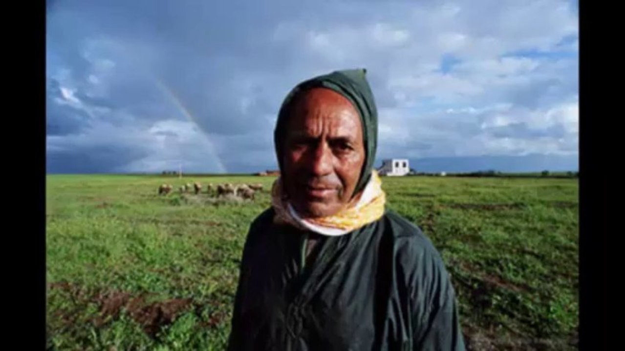 Dans Hallelu ya Mazel Tov !