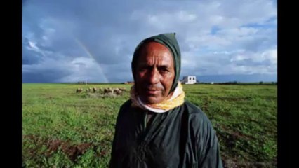 Dans Hallelu ya Mazel Tov !