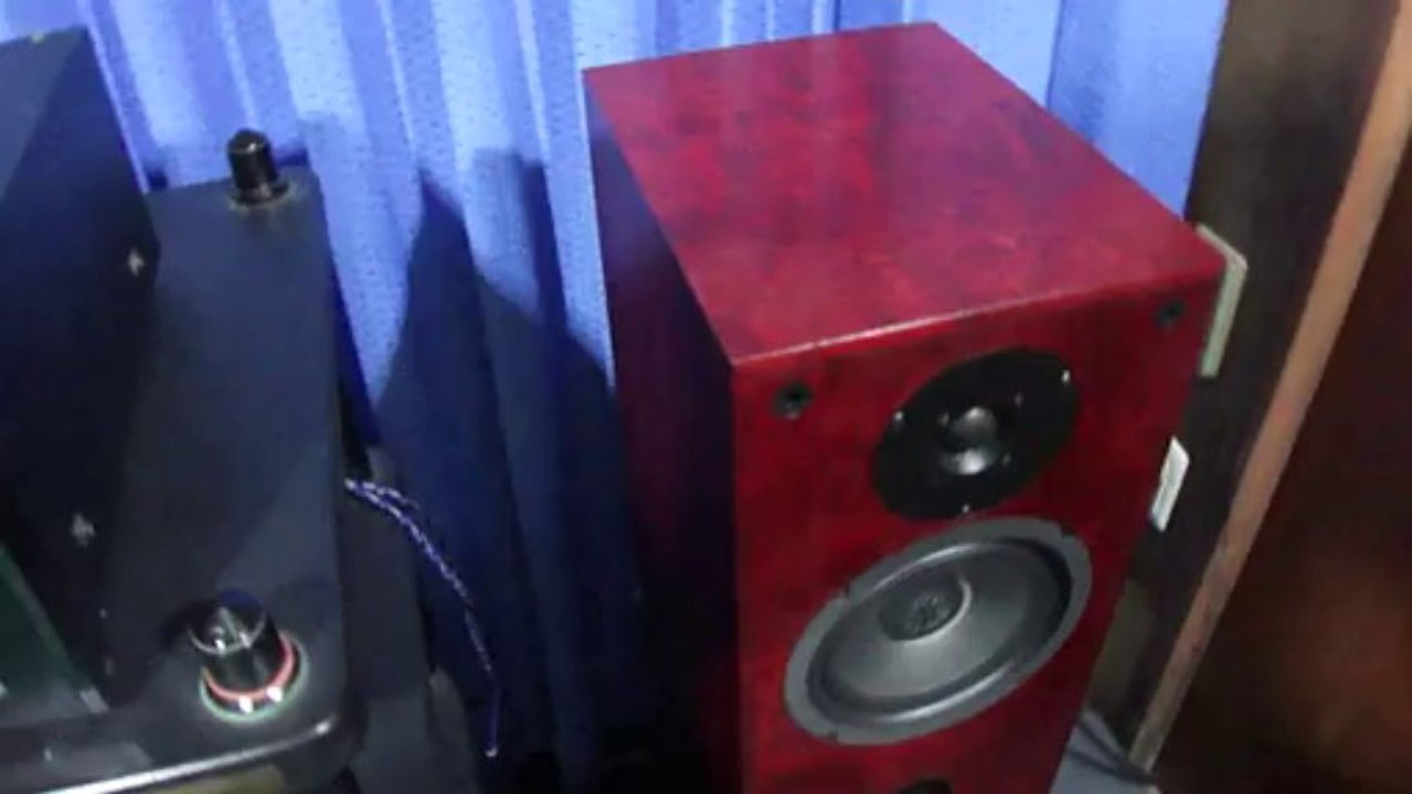 lungyim~Axis LS33 Loudspeakers ( 4 )