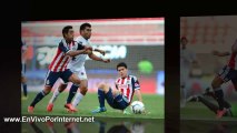 Ver Veracruz vs Chivas En Vivo 18 de Enero del 2014 | Liga MX Clausura 2014