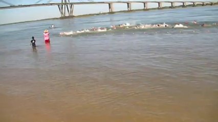 Largada de la Competencia de Natacion Aguas Abiertas