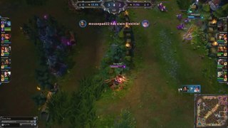 Bronze Insec plays