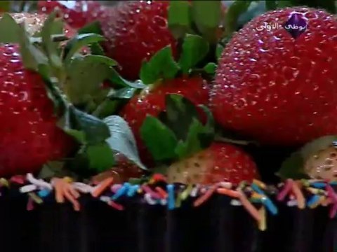 Abu Dhabi TV - 06-06-2013 15h30 15m (4682)