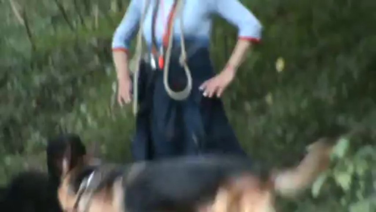 Françoise et la meute