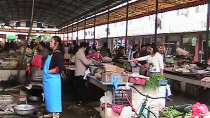 A Quaint Village Street besides Serengeti Hotel at Chengdu - China Holidays