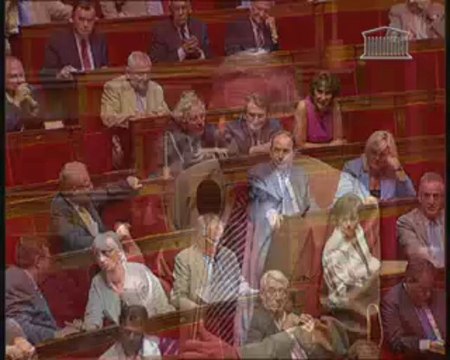 INTERDICTION DE LA DISSIMULATION DU VISAGE DANS L’ESPACE PUBLIC (vote solennel) - Mardi 13 Juillet 2010