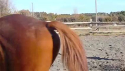 Nov-Déc-Janv 2012-13