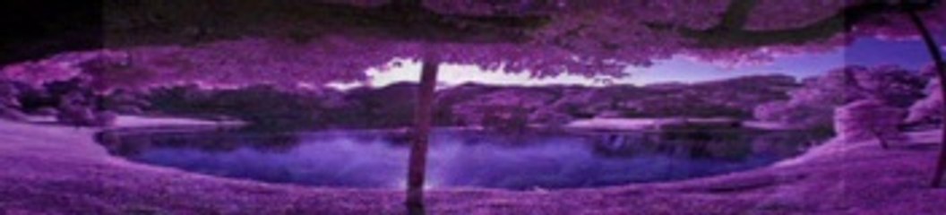 ELİF REYYA NAZ-JORGE LUİS BORGES     ANLAR