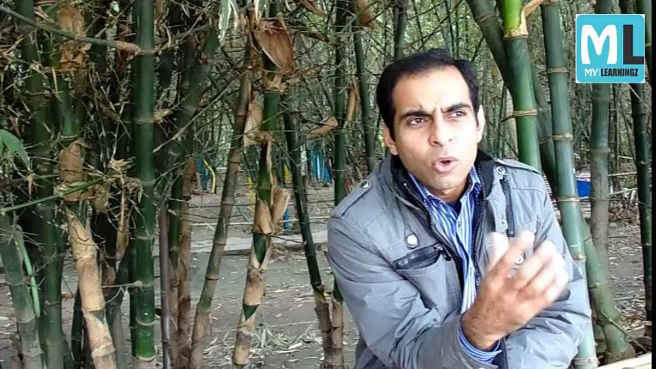 Understanding Maturity - Qasim Ali Shah