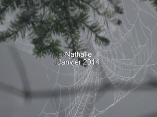 Parce qu'ils nous apportent tant.........