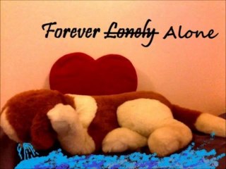 The Lonely story of a dog