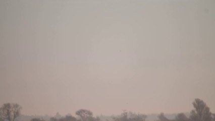 Battue de Foulques St Lumine 19/01/2014 N°1