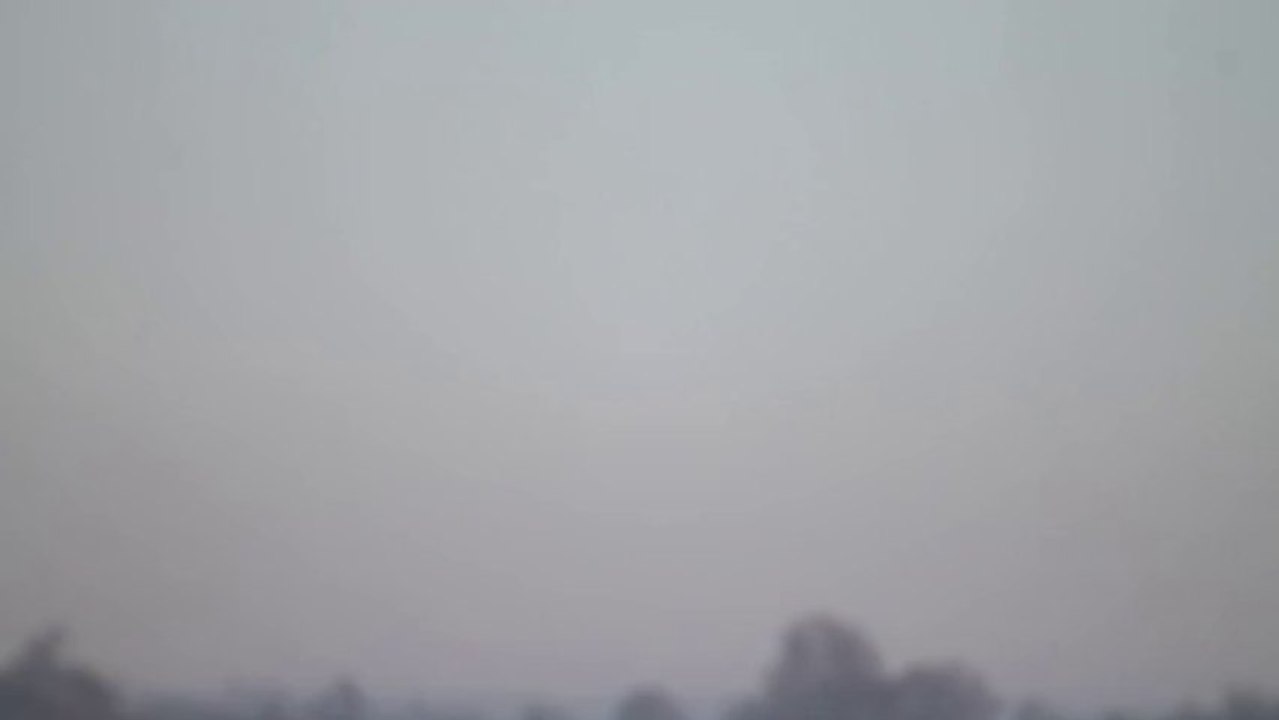 Battue de Foulques St Lumine 19/01/2014 N°3