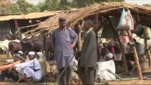 Centrafrique: des peuls demandent l’impartialité de la France