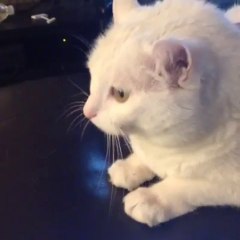 What Is Love? Understanding Its Meaning