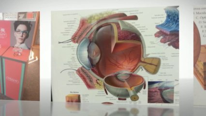 Get color contacts& Eye Exam Hiighlands Ranch CO