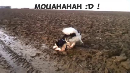 La balayette en vrac :D