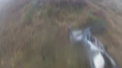 GoPro Dirt Bike CRASH Into Tree!