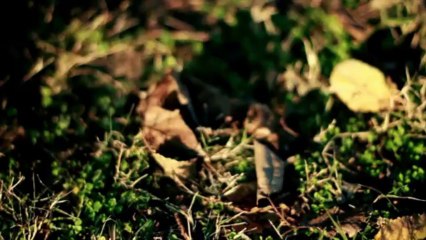 Amir & Tahir - Charta Ye | SaazoAwaaz.Com