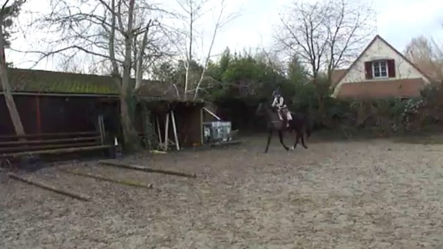 air de famille barres au sol Janv 2014